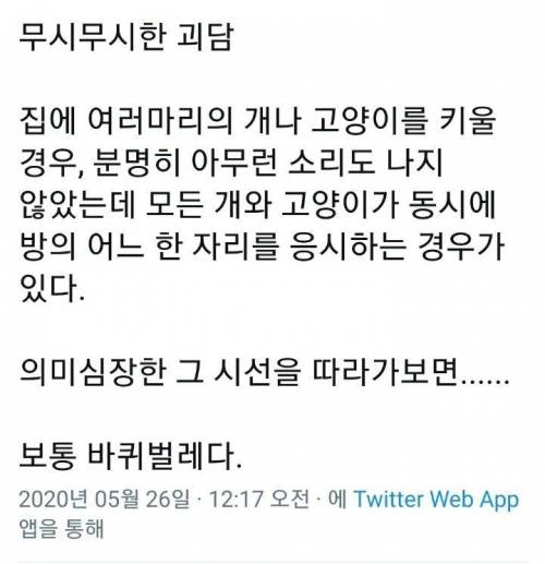 현실적이고 무시무시한 괴담