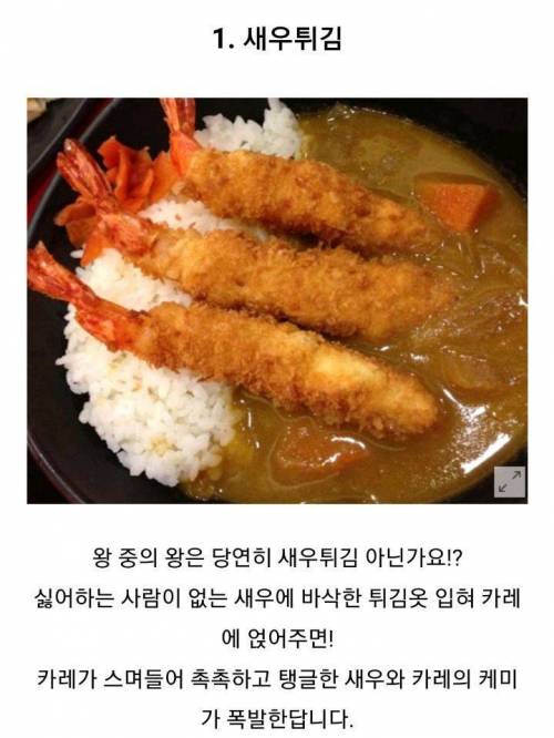 최고의 카레 토핑은?.jpg