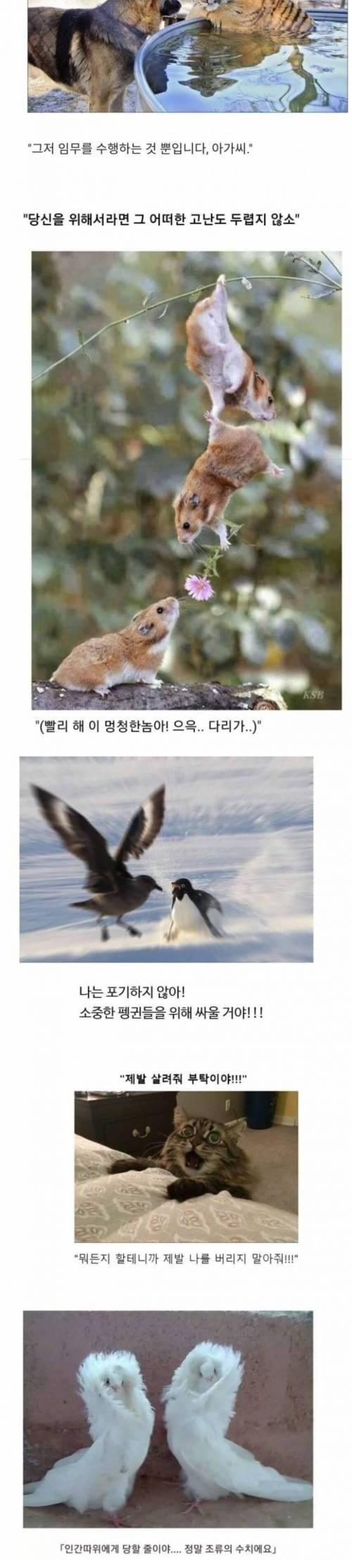 [스압] 라이트 노벨 클리셰 짤방 모음.jpg