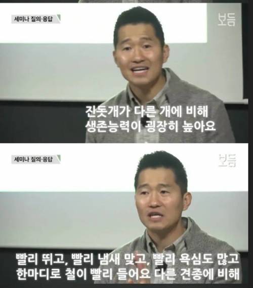 진돗개가 한국 개인 이유.jpg