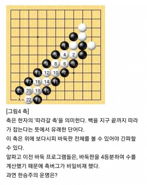 [스압] 이세돌에 이어 AI를 이긴 한국 바둑기사.jpg