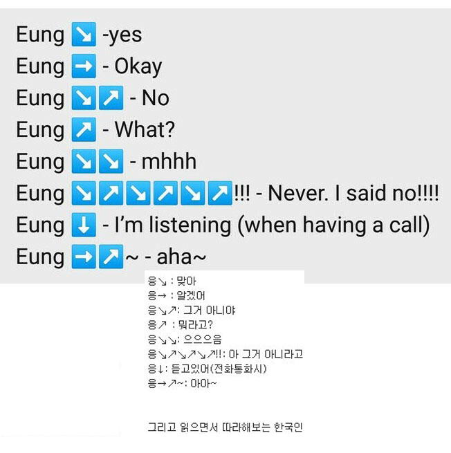 외국인들이 정리한 한국인의 '응' 사용법