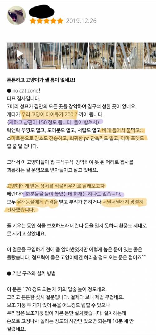 우리 고양이 아이큐가 200 가까이 됩니다..jpg