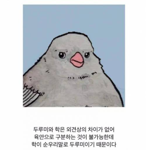 두루미와 학을 구분하는법...jpg