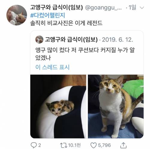 [스압] 트위터를 뒤집어 놓은 #다컸어챌린지