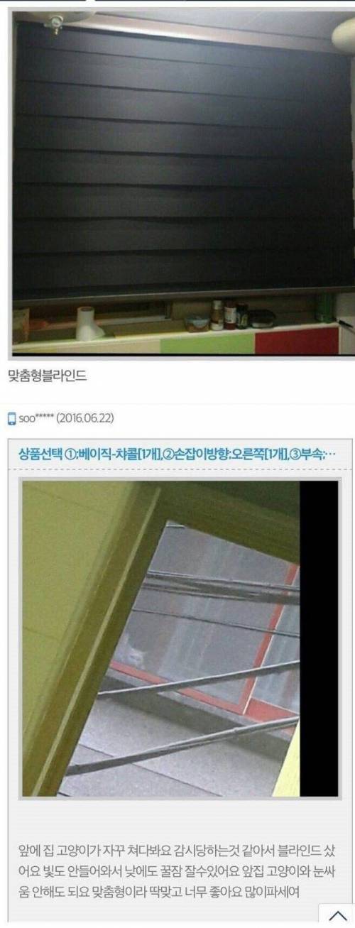 어느 처자의 블라인드 구매 이유.jpg