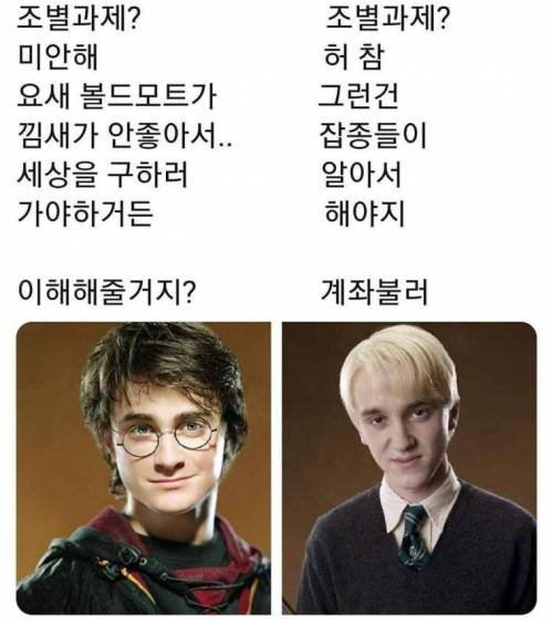 둘 중 한 명과 반드시 조별과제를 해야 한다면?.jpg