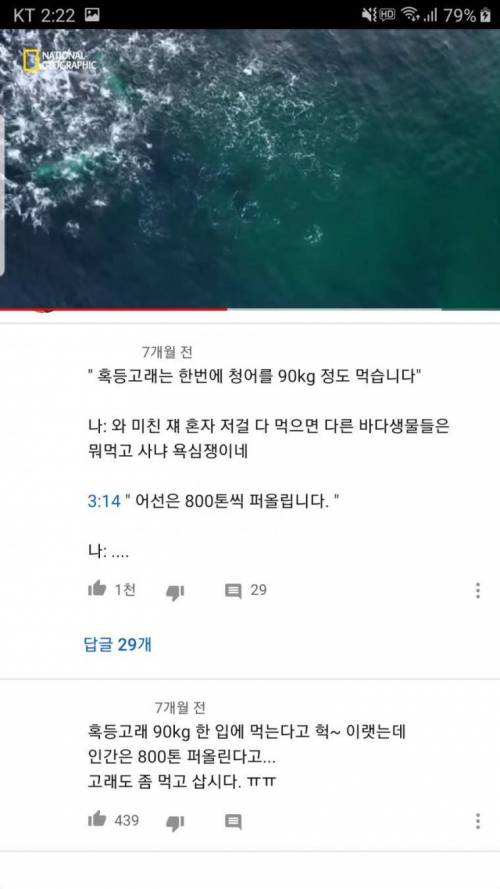 혹등고래는 한번에 청어를 90kg나 먹습니다..jpg