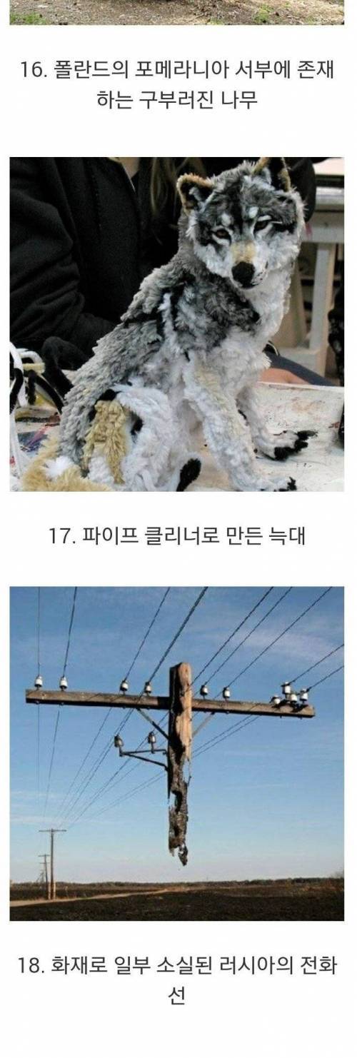 [스압] 합성 같지만 실제 사진들.jpg