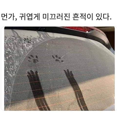 귀엽게 미끄러진 흔적.jpg