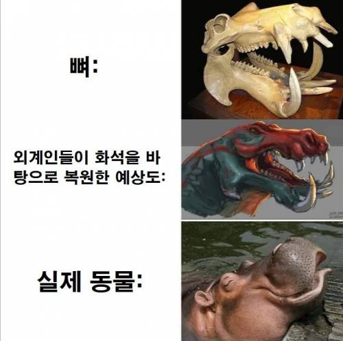 공룡들은 사실 귀여웠을지도 몰라.jpg