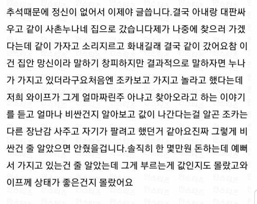 [스압] 조카한테 장난감 줬다고 화내는 키덜트 아내 + 후기