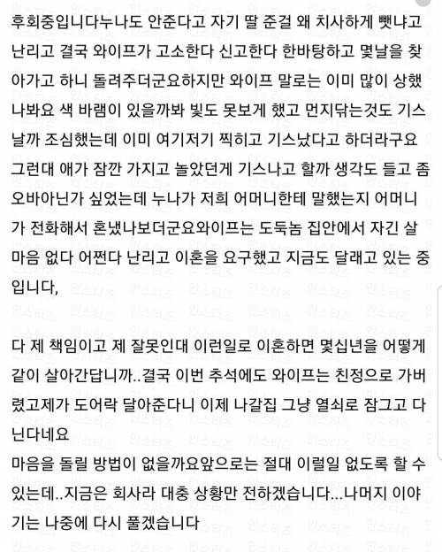 [스압] 조카한테 장난감 줬다고 화내는 키덜트 아내 + 후기