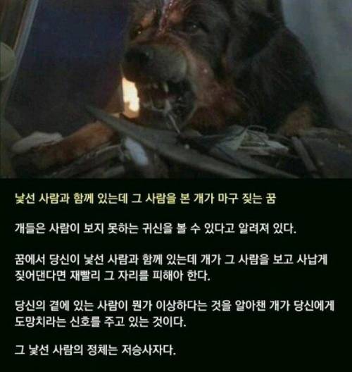 외출을 하면 안되는 흉몽 4가지.jpg