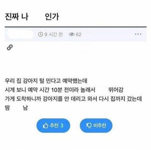 우리 집 강아지 털 민다고 예약했는데