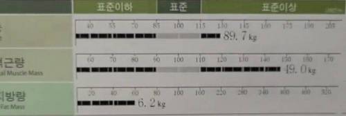 크로스핏 중인 아이언맨 윤성빈 근황