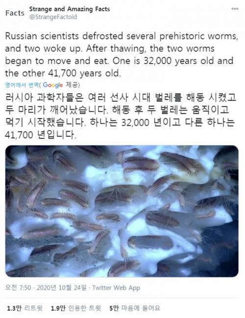 [약혐]얼어붙은 벌레를 녹였는데 움직임.jpg