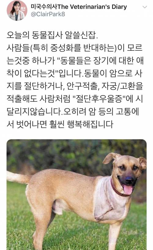 동물들은 장기에 대한 애착이 없다