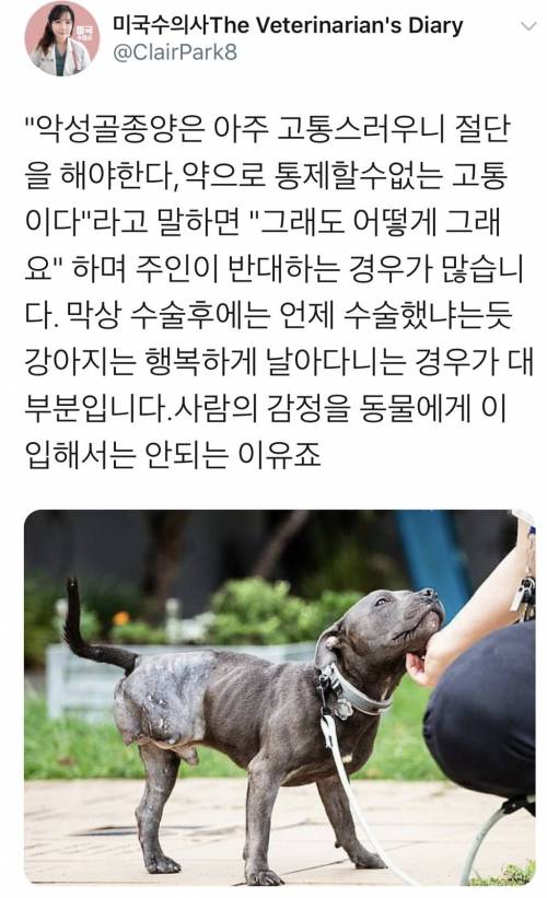 동물들은 장기에 대한 애착이 없다