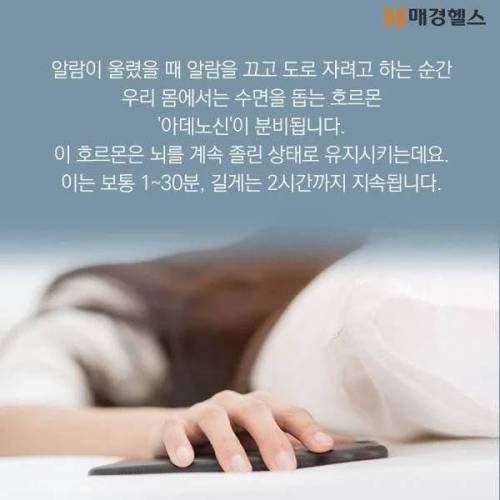 5분 간격 모닝콜이 안좋은 이유.jpg