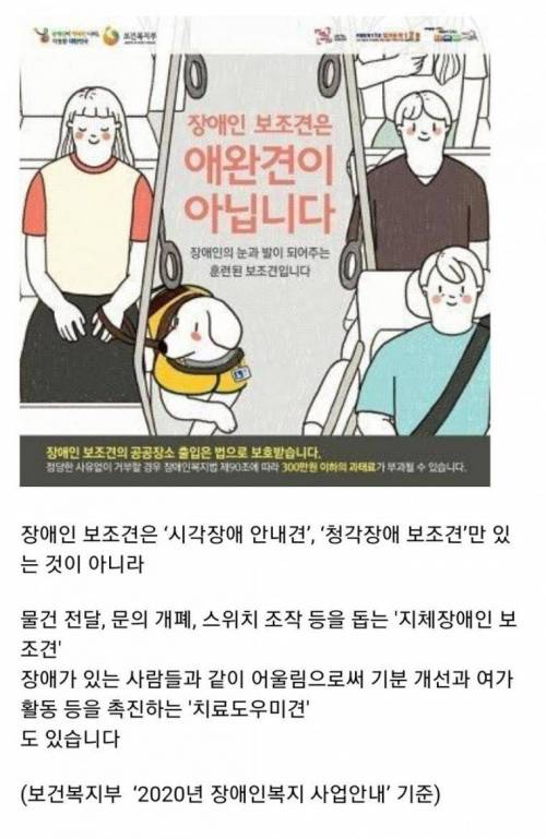 [스압] 청각장애 보조견들이 하는 일.jpgif