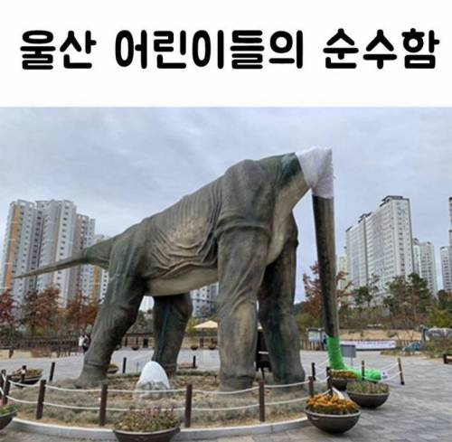 순수한 울산 어린이들.jpg