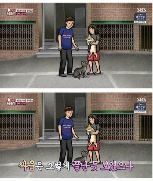 [스압] 대장 고양이의 최후.jpg