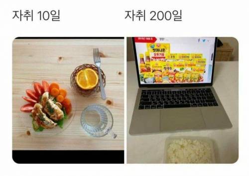 자취 10일차와 자취 200일.jpg