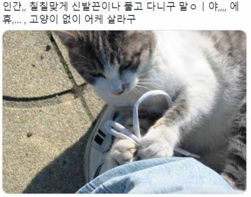 으이구 인간아~.jpg