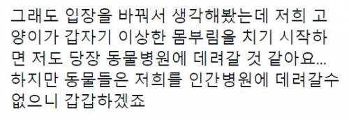 고양이를 키우면서 여러가지 각오해야 하는 건 알고 있었지만..