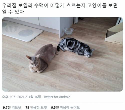 우리 집 보일러 수맥 어떻게 흐르는지 아는 법