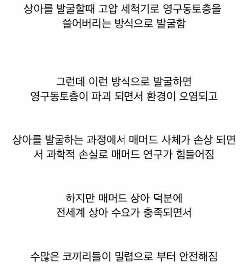 요즘 코끼리 상아 대체제로 사용중인 것.jpg