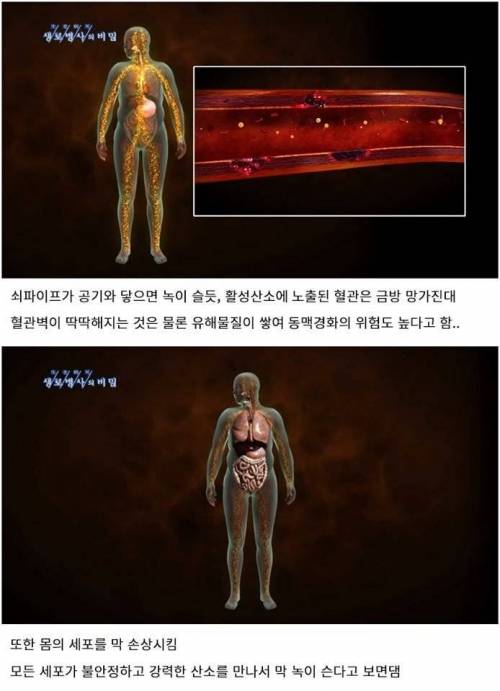 과식하면 빨리 늙는 이유.jpg