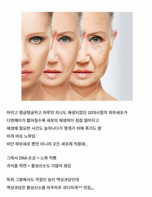 과식하면 빨리 늙는 이유.jpg