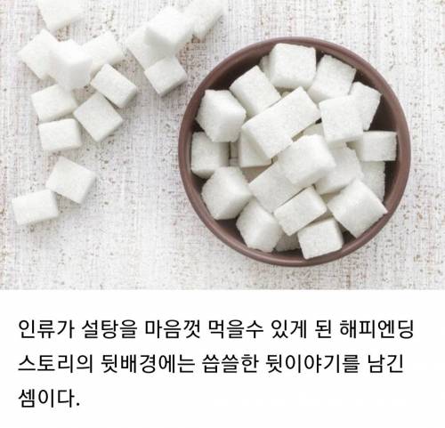 [스압] 인류가 설탕을 값싸게 먹을 수 있었던 이유