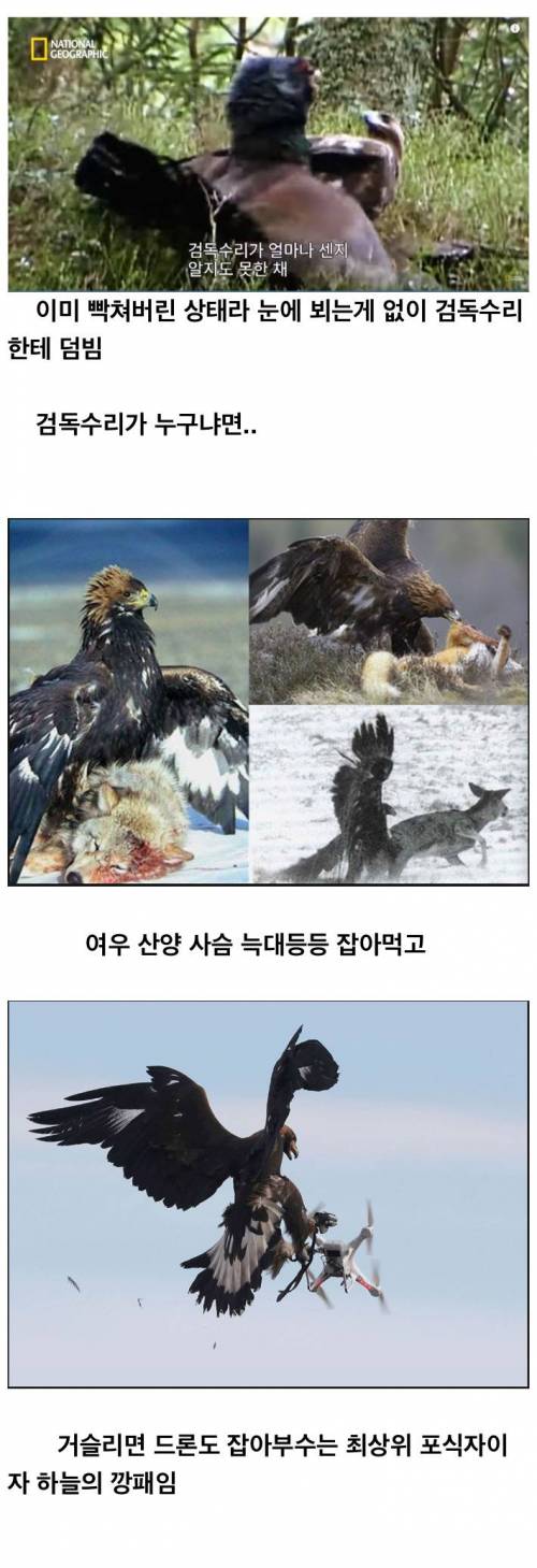 [스압] 진짜 분노조절장애.jpg