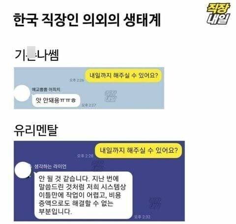 한국 직장인 의외의 생태계.jpg