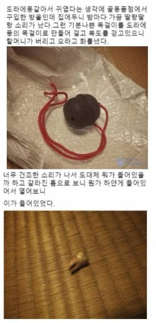 골동품점에서 구입한 방울의 비밀