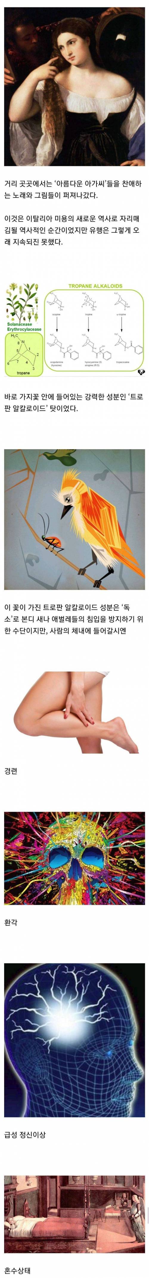 [스압] 15세기 이탈리아 여자들 사이에서 유행했던 것..jpg