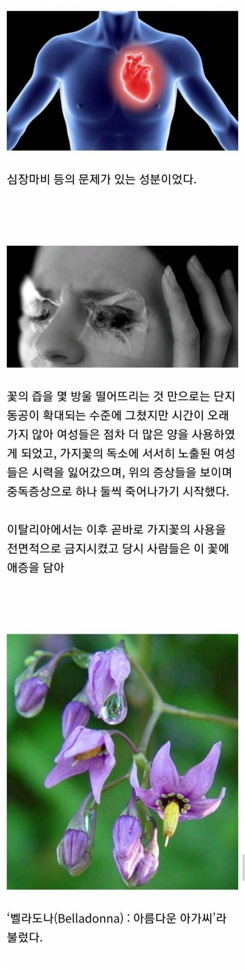 [스압] 15세기 이탈리아 여자들 사이에서 유행했던 것..jpg