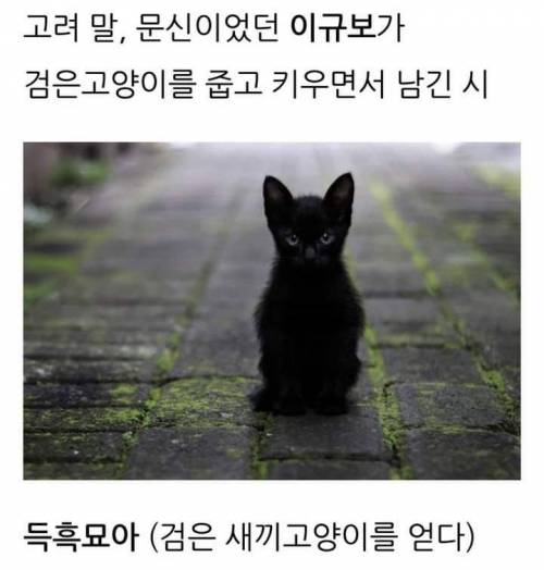 고려말, 냥줍한 백운거사 이규보가 남긴 시