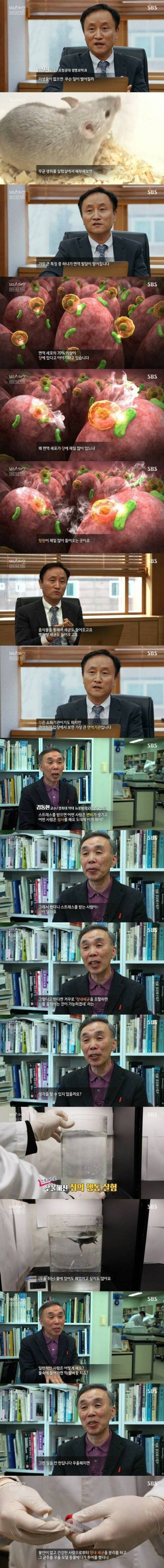 [스압] 알고 보니 제2의 뇌라고 하는 신체 부위...jpg