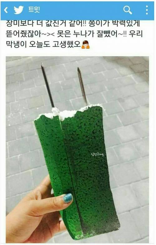 팬에게 뭐라도 주고 싶었던 아이돌.jpg