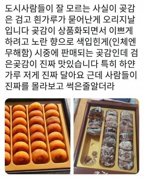 곶감의 정체. twt