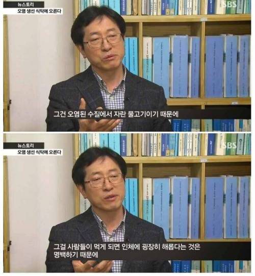 [스압] 매운탕용 생선의 실체.jpg