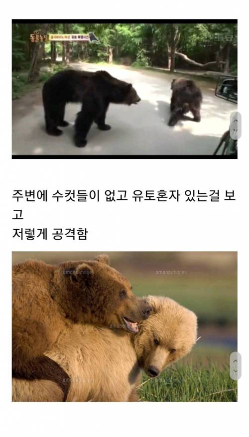 [스압] 도태된 수컷의 심리.jpg