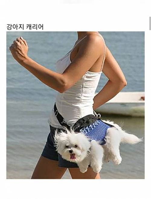 [스압] 해외에서 뽑은 "존재해선 안될 물건"