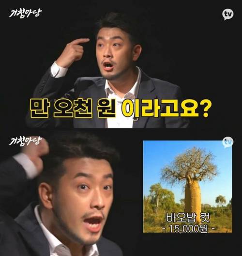 [스압]침착맨 따라하는 이금희 누님