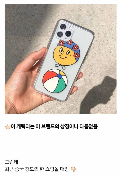 [스압] 도둑질 당한 국내 브랜드.jpg