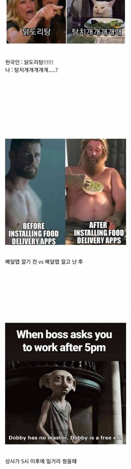 [스압] 한국에 사는 외국인들의 밈.jpg